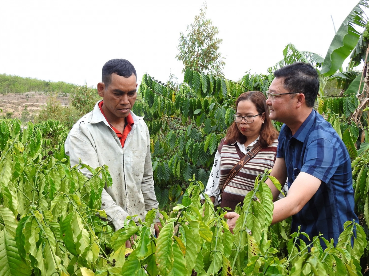 Kang ƀô̆ kon pơlei tơring Ia Xiêr, apŭng Sa Thầy vei lăng chehphe.