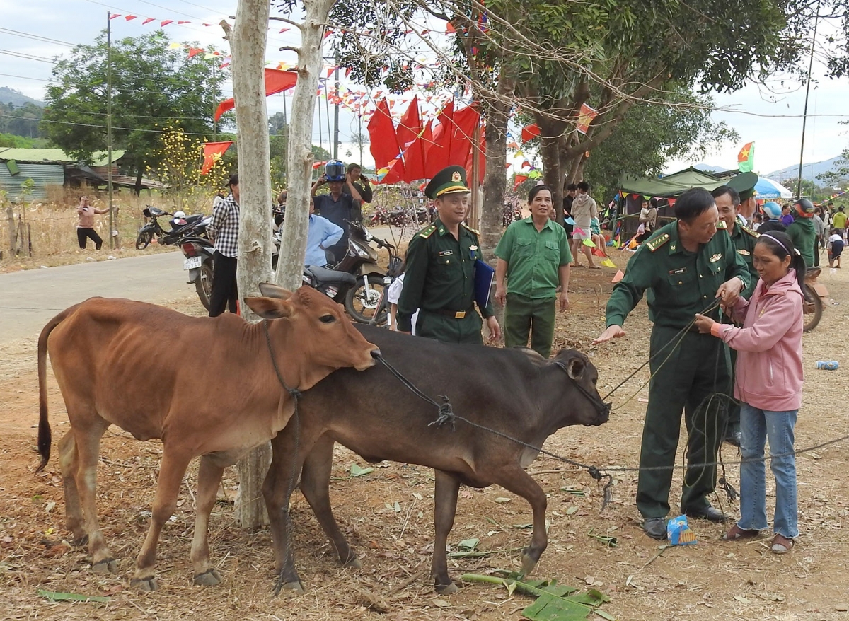 Ƀô̆ đô̆i vei lăng sơlam teh đak dêh char Kon Tum pôk ăn rơmo ăn ŭnh hnam dơnuh tơring sơlam teh đak.
