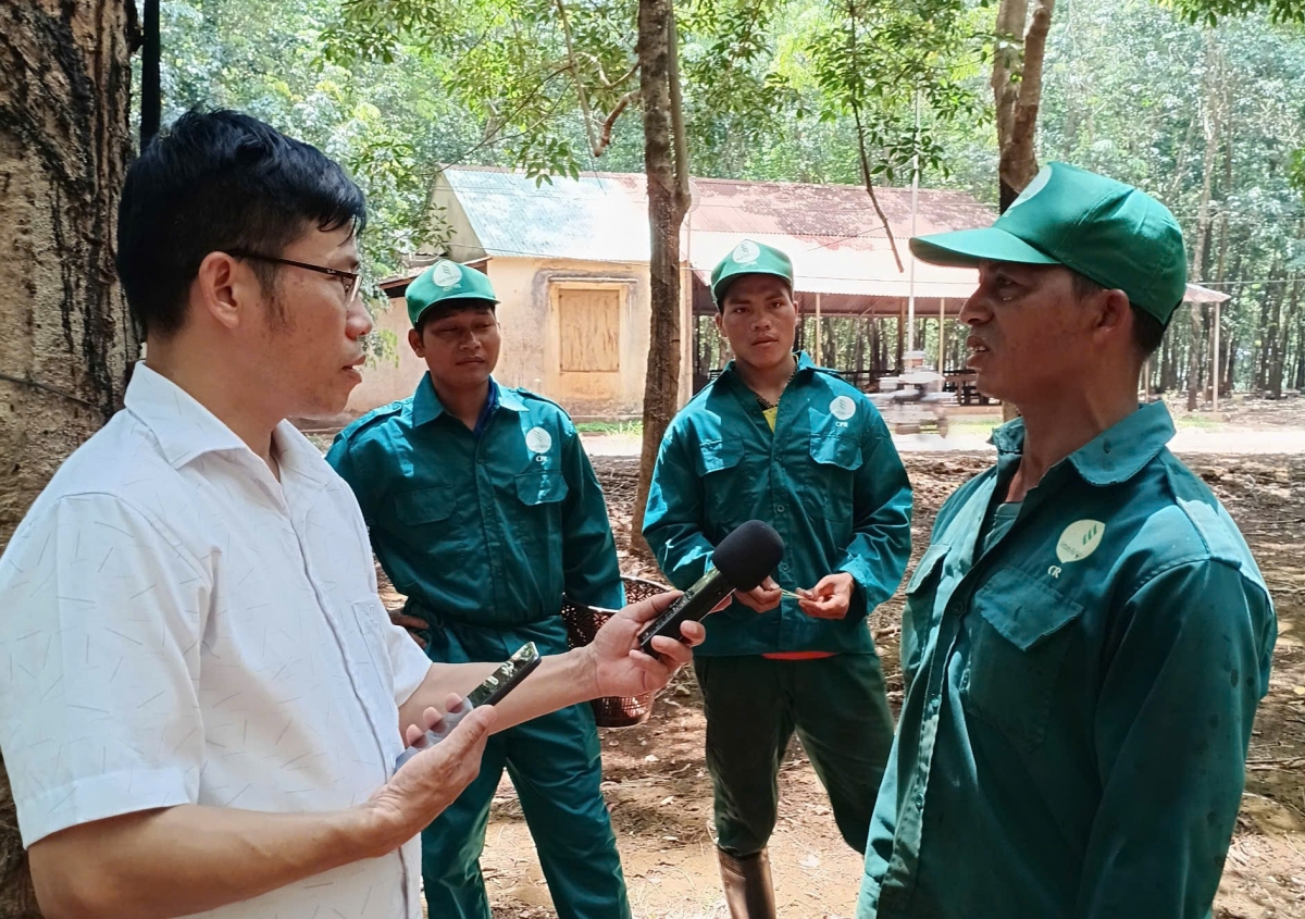 Vâ chê 92% kŏng nhân a Nông trường Hòa Bình cho hdroâng kuăn ngo