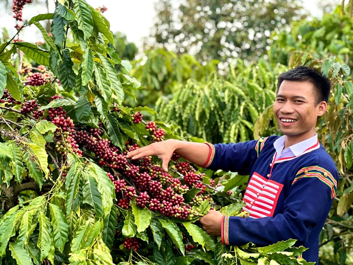 Nai Siu Sắt ƀơi đang kơphê hơdjă ba glăi anô̆ jơman phara.