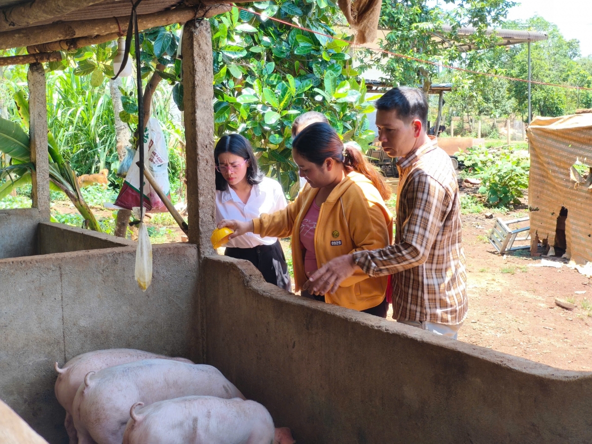     Phĭu kơdĭng liăn Búa liềm vàng ‘’mơjiang cheăng kâ ăm mơngế kơtiê