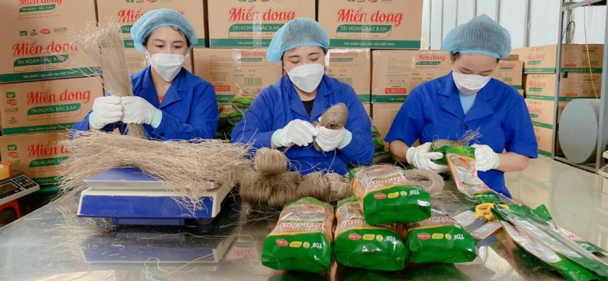 Nhiều hợp tác xã "ăn nên làm ra" tại Bắc Kạn do phụ nữ thành lập, quản lý, điều hành