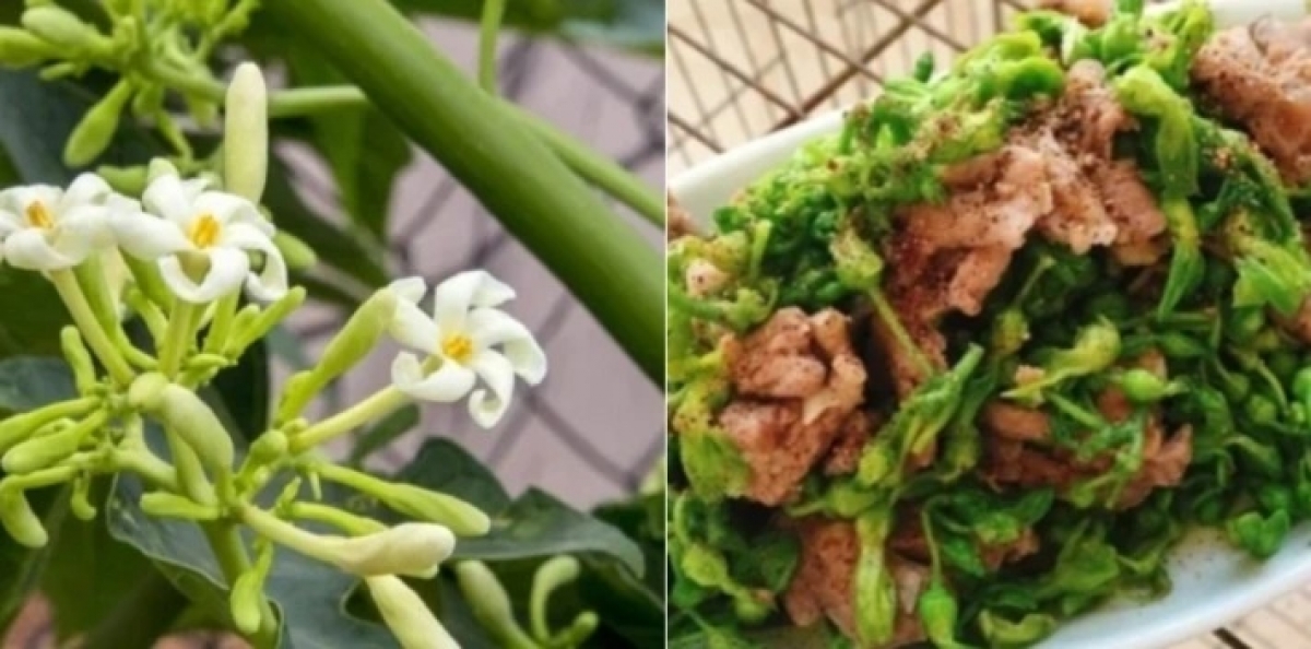 Những bài thuốc từ hoa đu đủ đực