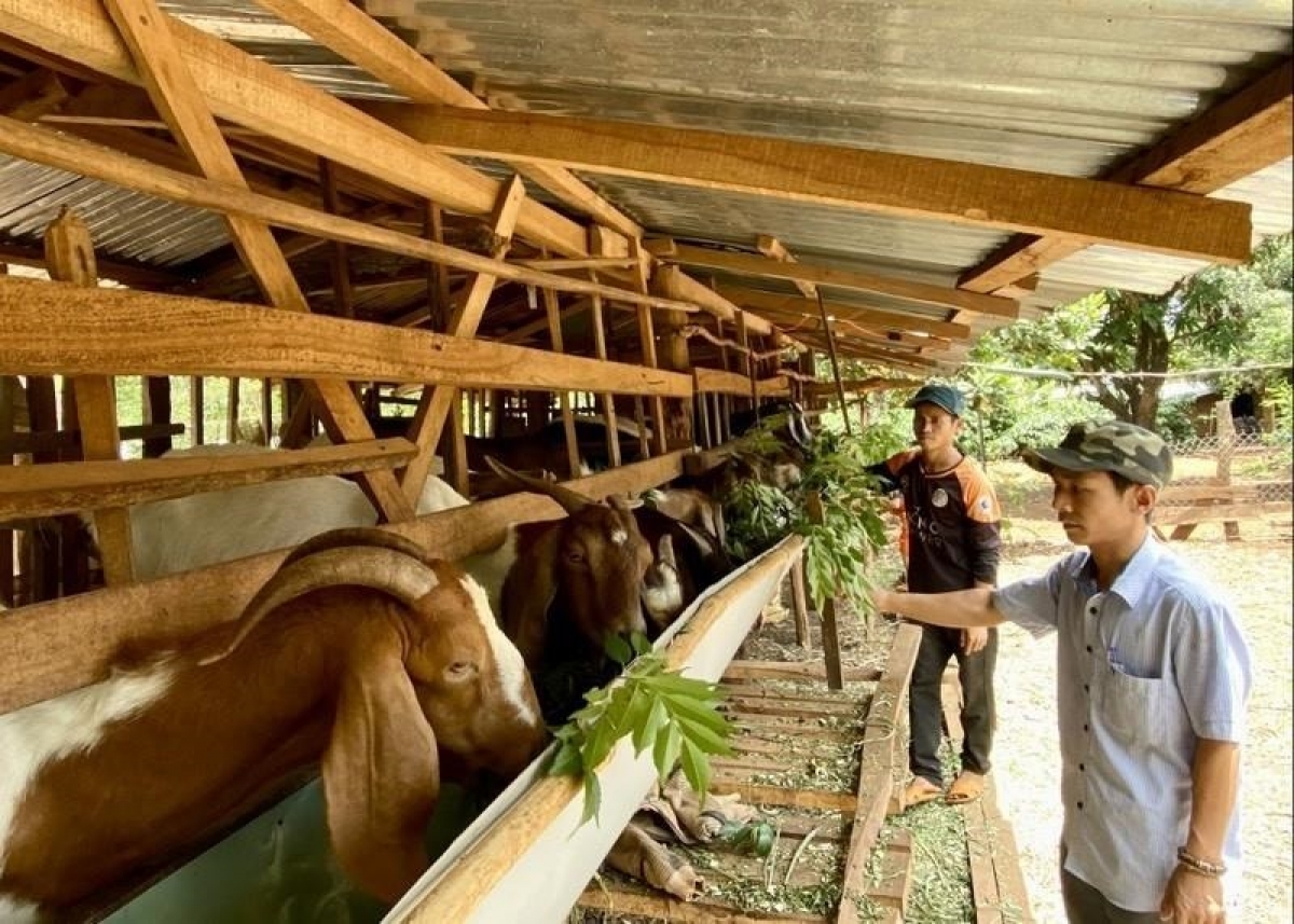 Urang bangsa takik salih jalan ngak mbang tani tanat