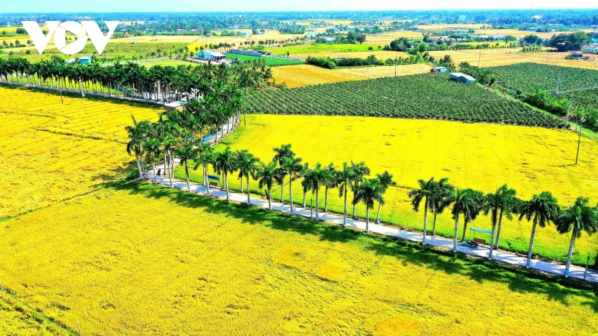 Jalan Ong Đồ Nghi di Tân Trụ atah labaih 2km, pala labaih 300 agha paneng tapak, urak ini jeng labik danei angan di gah Pei negar