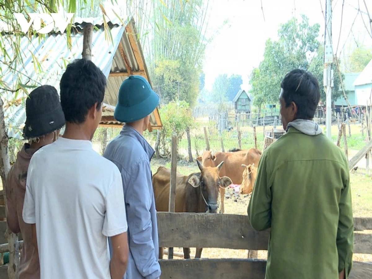 Mikva daok biai gauk ka bruk raong lamo