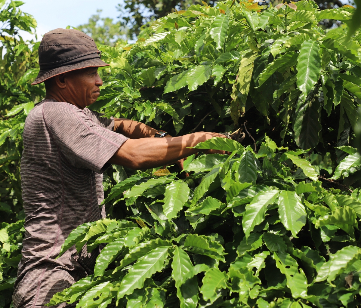 Mờ geh dong kờl phơng sih nàng làng bol bơtàu tơnguh tam phan