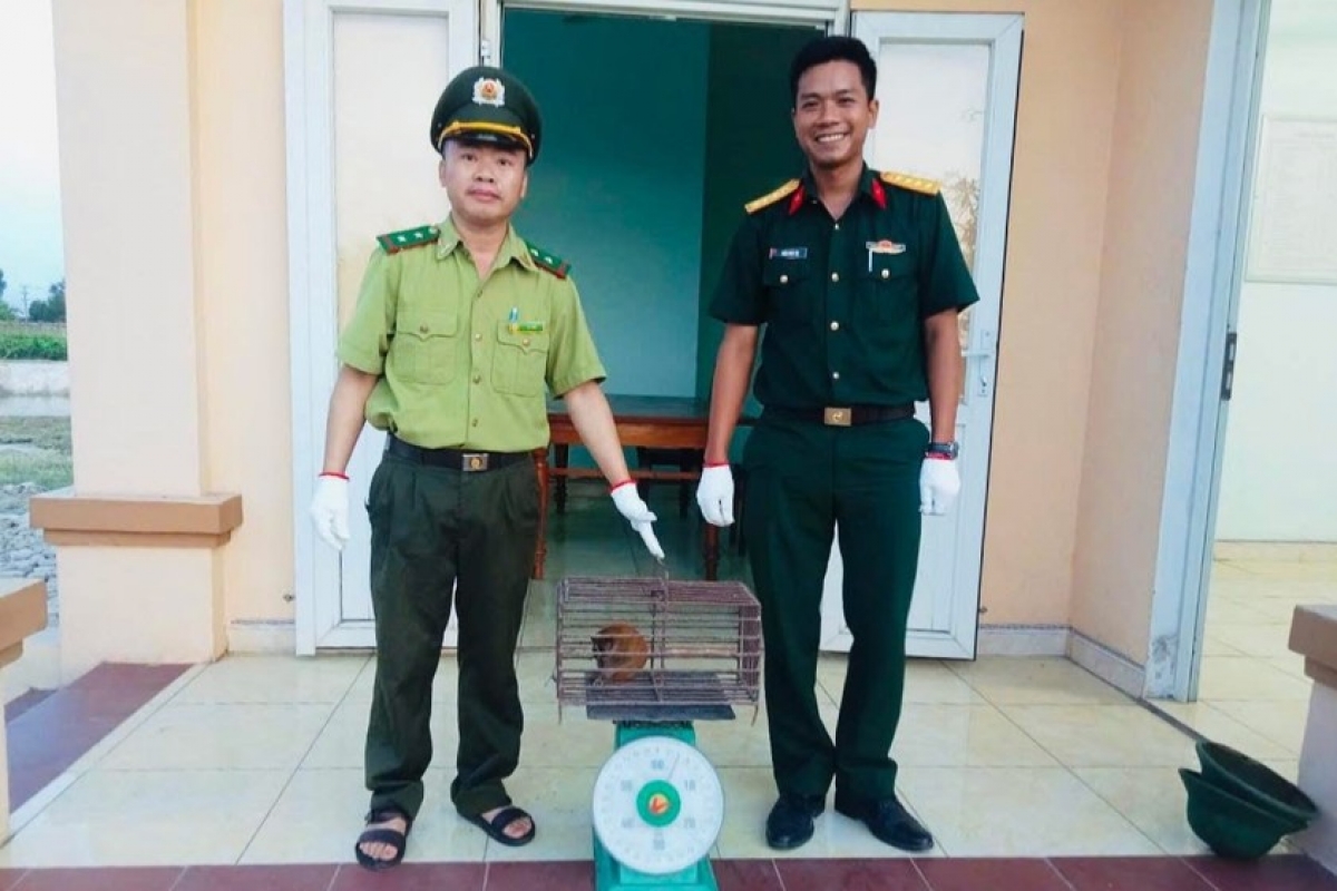 C'bhuh chức năng đương đơp p'nong cu li k'tứi. Chanup: congly.vn