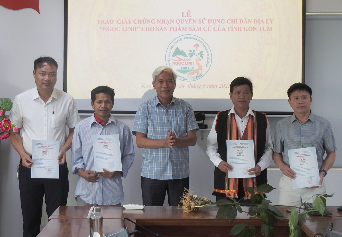 Pơjao hla ar chih tơbăt hơgăt teh “Ngọc Linh” hăm sâm ƀum ăn 4 khul grŭp păng dôm bơngai pơtăm