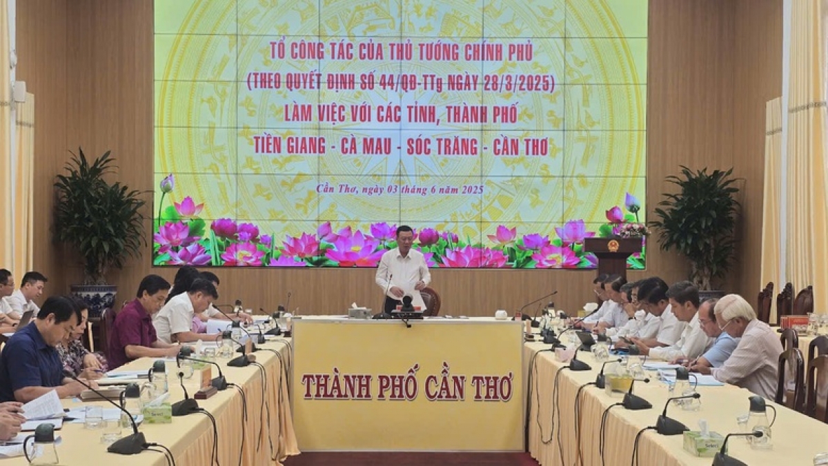 Tổng Thanh tra Chính phủ Đoàn Hồng Phong phát biểu tại cuộc làm việc với các tỉnh - Ảnh: VGP/LS