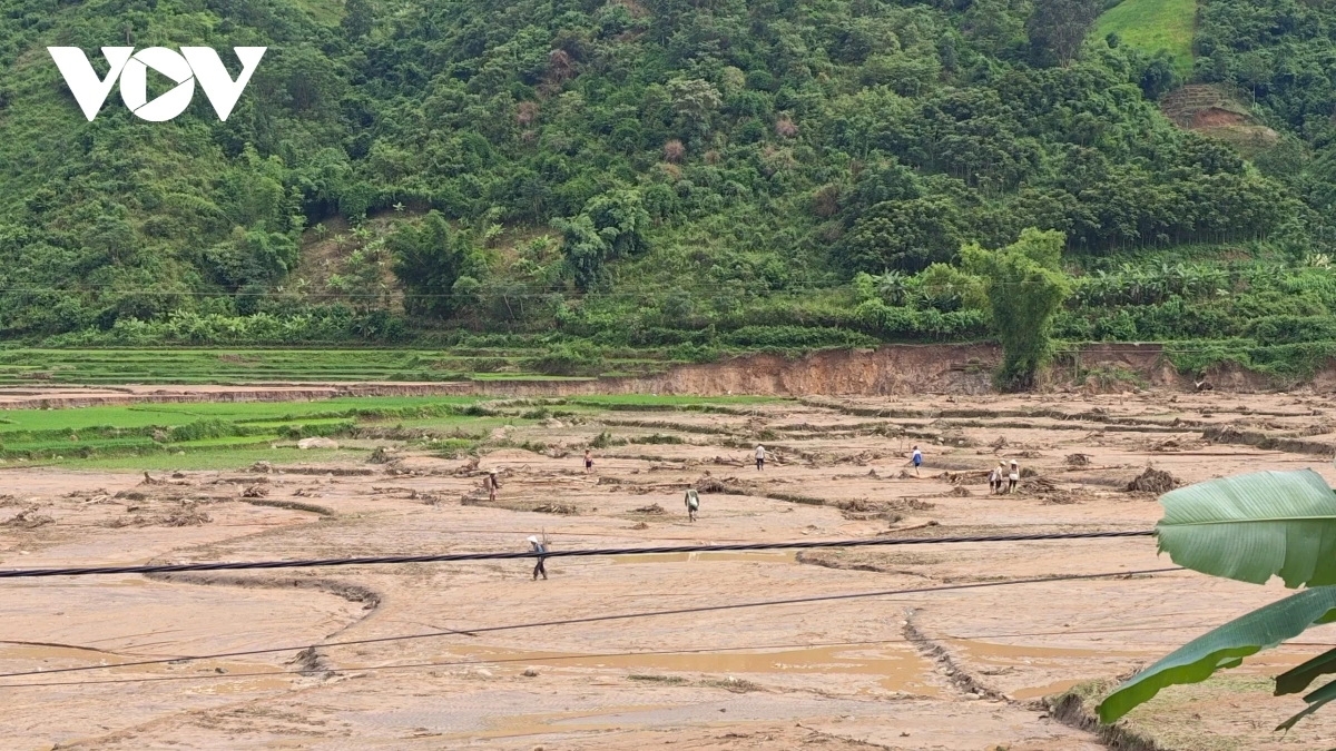 Mưa lũ đã cuốn trôi, ngập úng nhiều diện lúa và hoa màu của người dân