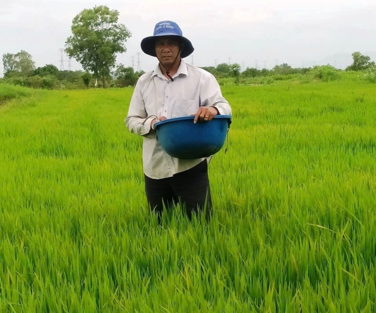 Sa-ai Bá Đình Trang sangka padai