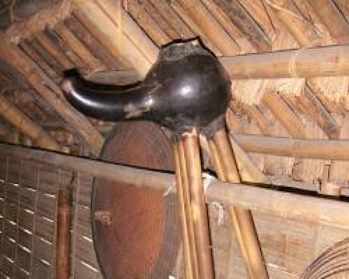 Kơm buốt Ding prao