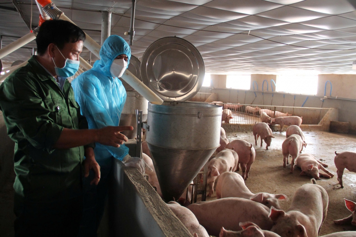 Gah broă lơh sa sươn sre Dăk Lăk gam sồr cĭt jơh, cĭt vaccine bơtơl nàng lơh geh khà cĭt tơl rlau 80% kờp jơh mpồl phan ròng