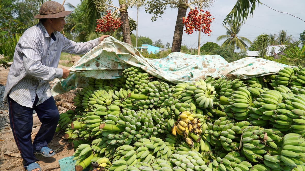 Jaoh patei siem di xa Minh Thuận