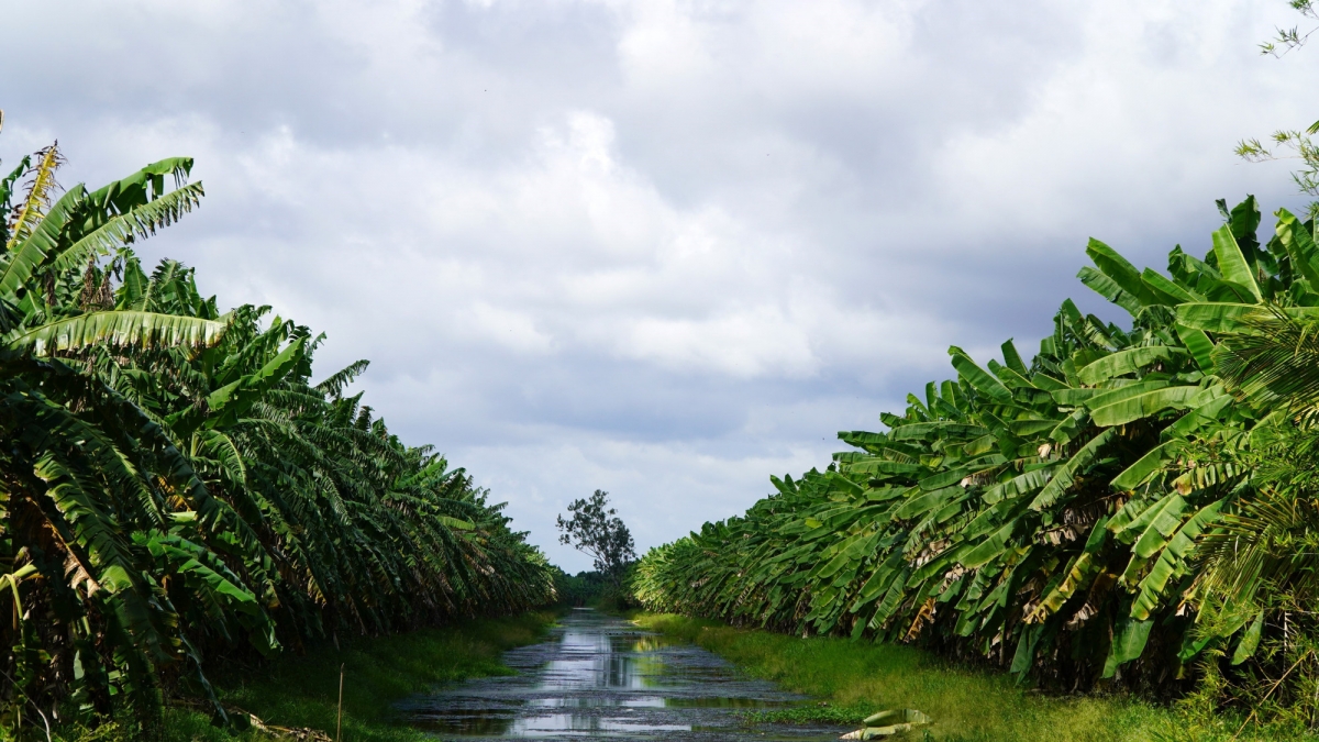 Pala patei siem di huyen U Minh Thượng