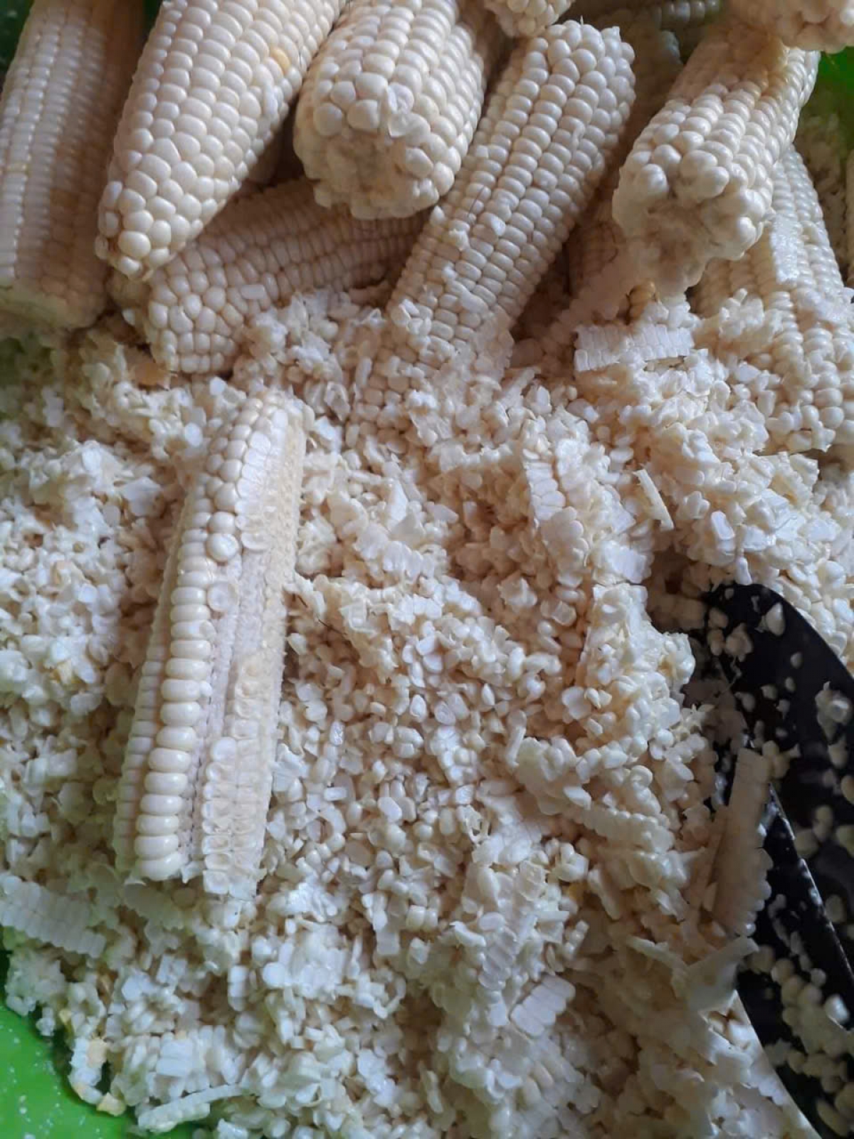 Tơngời pa plồ geh phàk tơn nàng ờ roh bơta lơngồt ờs tơngời dê