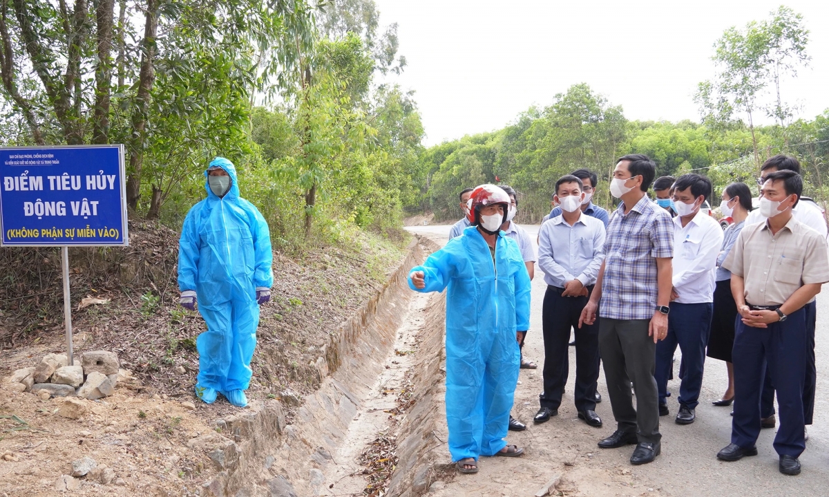 Phó Chủ tịch Thường trực UBND tỉnh Quảng Trị Hoàng Nam kiểm tra địa điểm tiêu hủy động vật của xã Trung Thuần - Ảnh: N.H