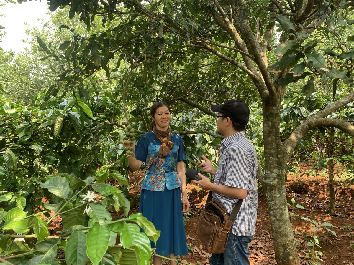 Dŭm klei găl bi liê bi mlih anôk bruă nah gŭ ti dŭm ƀuôn sang krĭng taih kbưi, krĭng mnuih djuê ƀiă čar Dak Nông.
