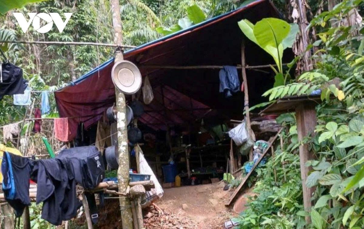 Các đối tượng khai thác vàng trái phép dựng lán trại trong rừng để hoạt động