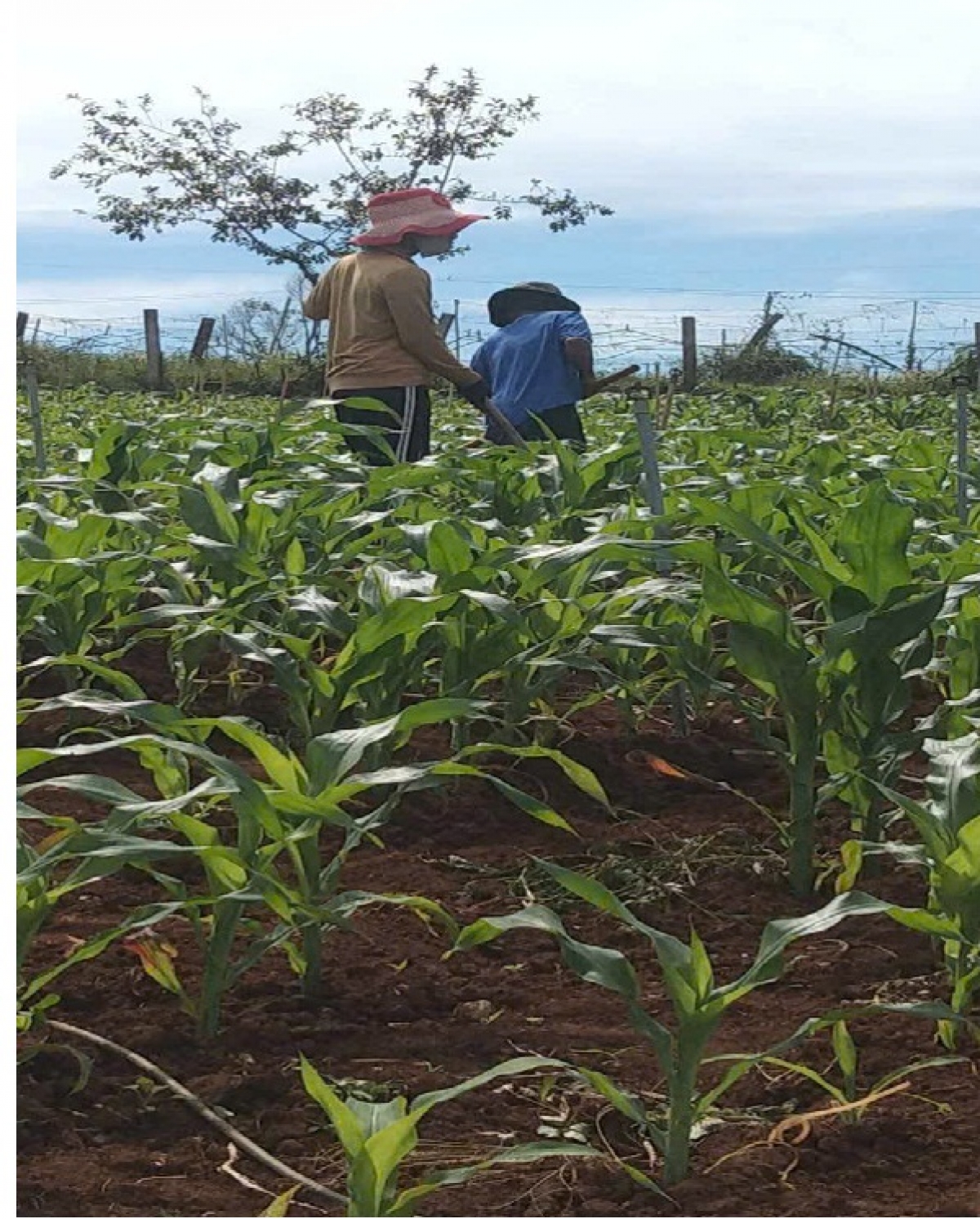 Klo kăn mŏ Lơ Mu Li Via pơnam jang sa