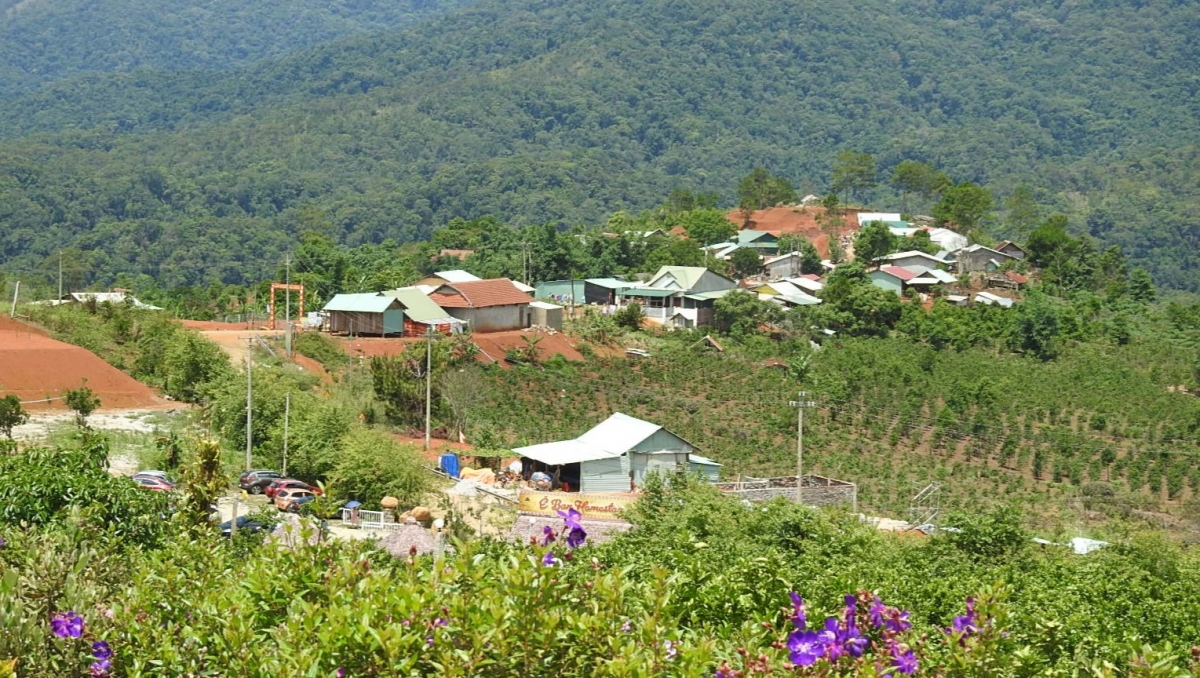 Tơlơi hơdip mơda phrâo ƀơi sa boh plơi Sedang, să Măng Đen, tơring čar Quảng Ngãi