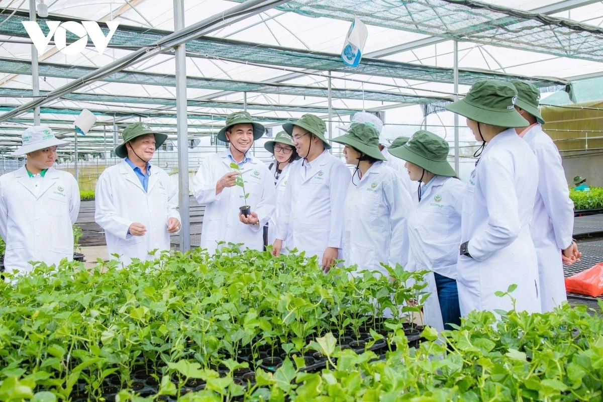 Zr'lụ Tây Nguyên bơơn 86% đhăm lâng bh'nơơn chanh leo prag k'tiêc