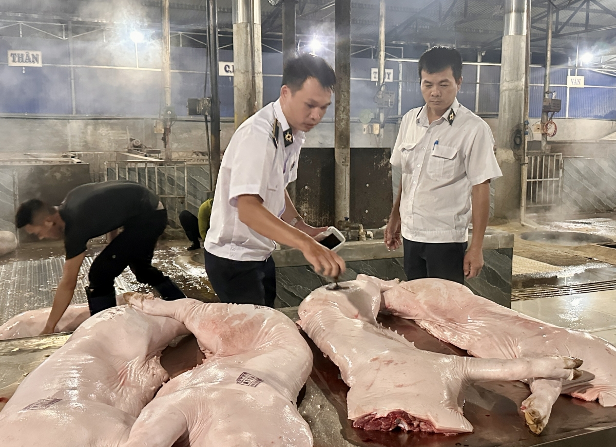 Khŭl jang Thú y vei lăng jĭ tơ̆ hơnih ket ƀuh