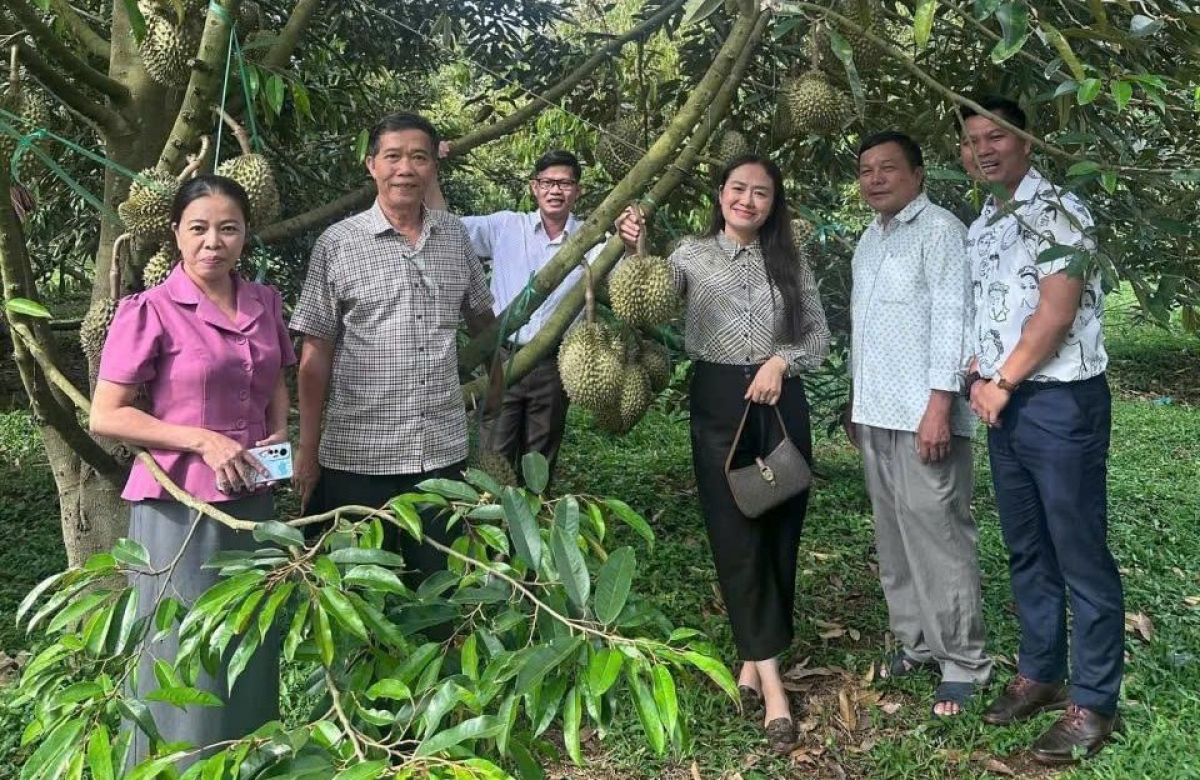 Ảnh: Báo Đắk Lắk