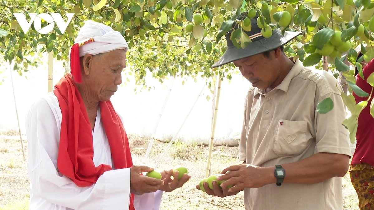 Po Gru Đoàn Minh Duyên daok ndom meyai ilamo haong sa baoh sang pala baoh medan.