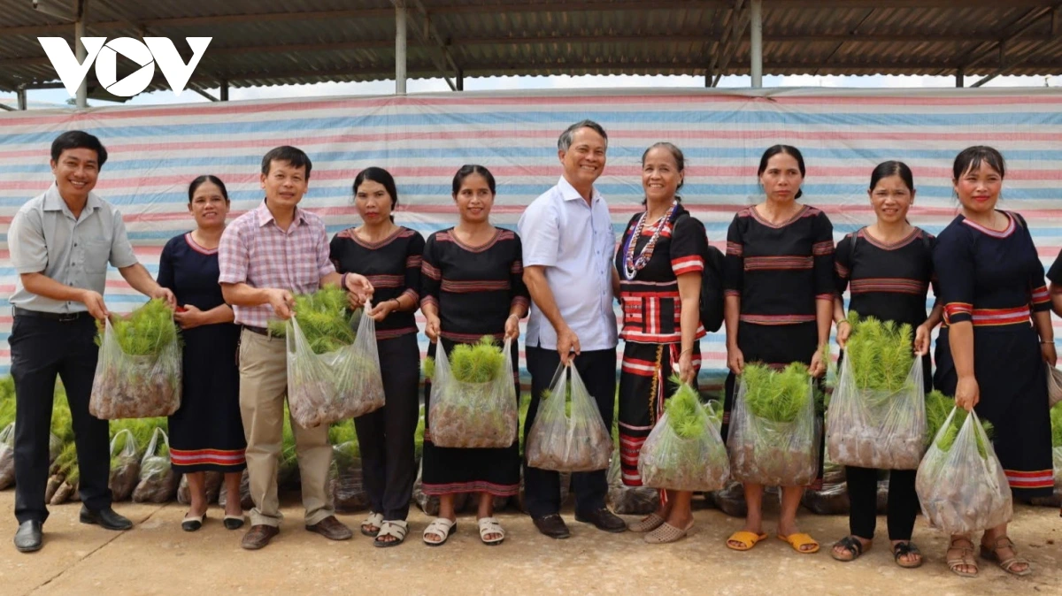 Urang pan akaok xa Tu Mơ Rông, tinh Quang Ngai alin hidiah phun pajaih ka rahra