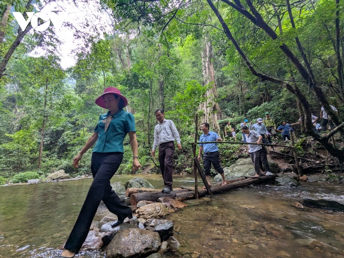 Kapul ngak bruk di tinh Gia Lai nao rivang, roh duah di Bein pakat Negar Kon Ka Kinh