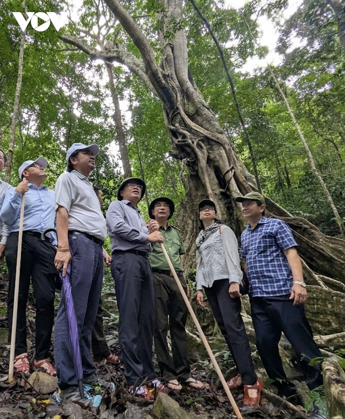 Ong Phạm Anh Tuấn - Akaok UB Bhap bini tinh Gia Lai (dang yangka klau meng gah ieu tapa) gam haong dom urang jakar di tinh Gia Lai nao rivang Bein pakat Negar Kon Ka Kinh