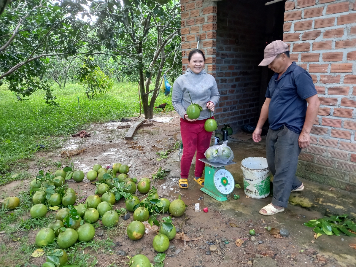 Phan lơh geh bơh sươn sre tàm tiah bơnơm Khánh Hoà uă bơta pràn mơya mìng kung gam tăc ris lơm