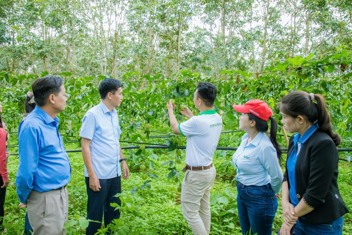 Bôh kruăi hrĕ hmâo anô̆ gal jing gơnam ha klai dolar Mi