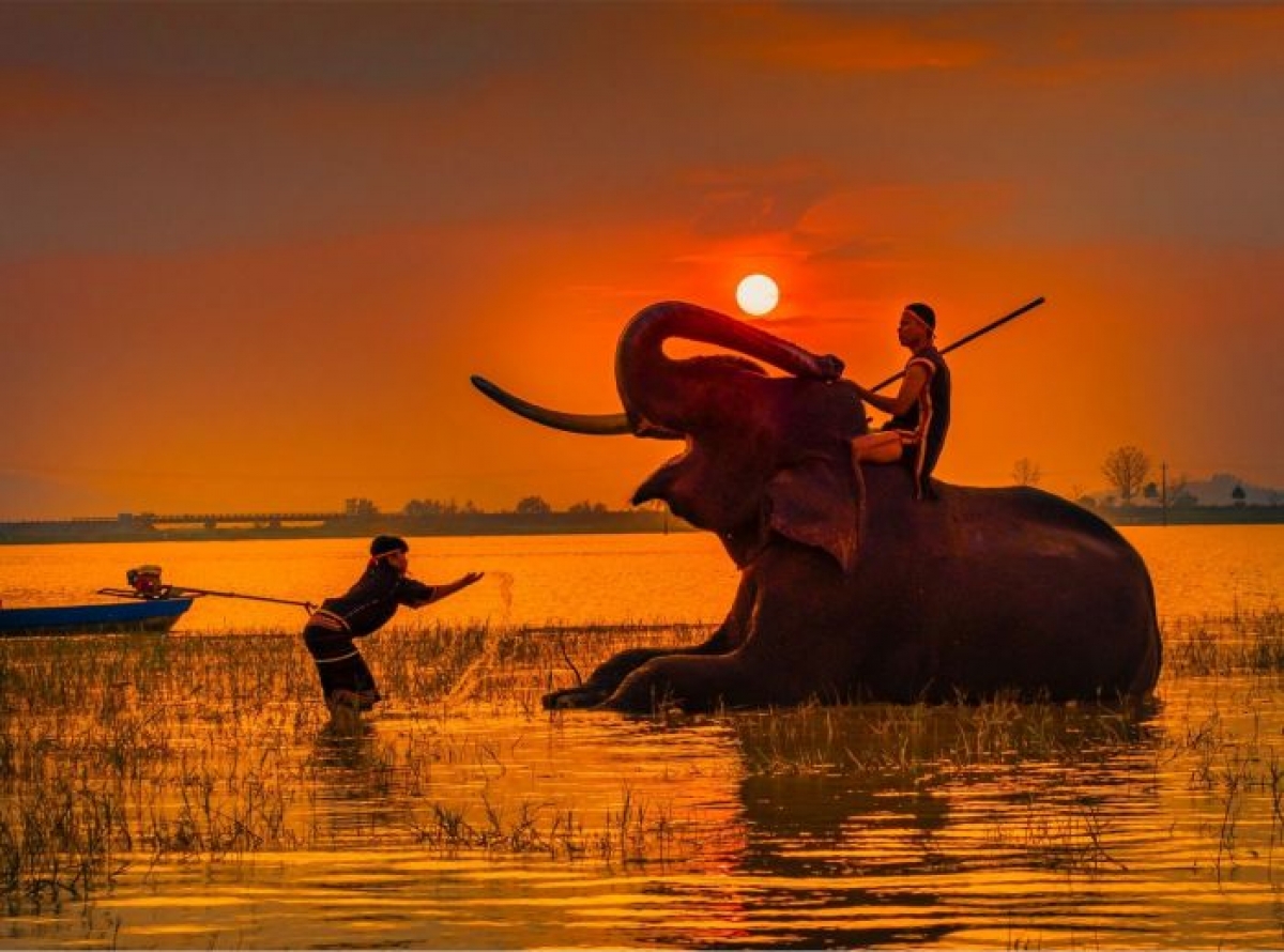 Rùp ai bơh tàm internet