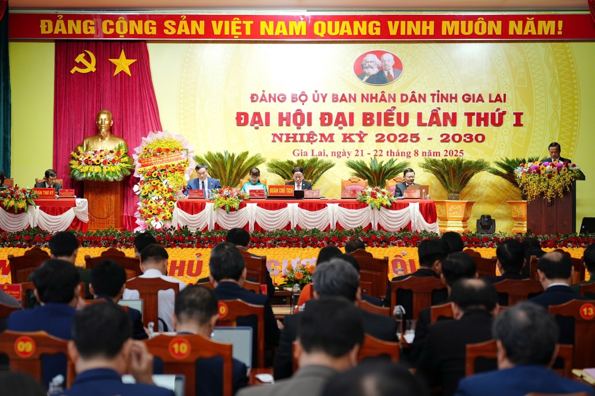 Đảng bộ n'gor Gia Lai