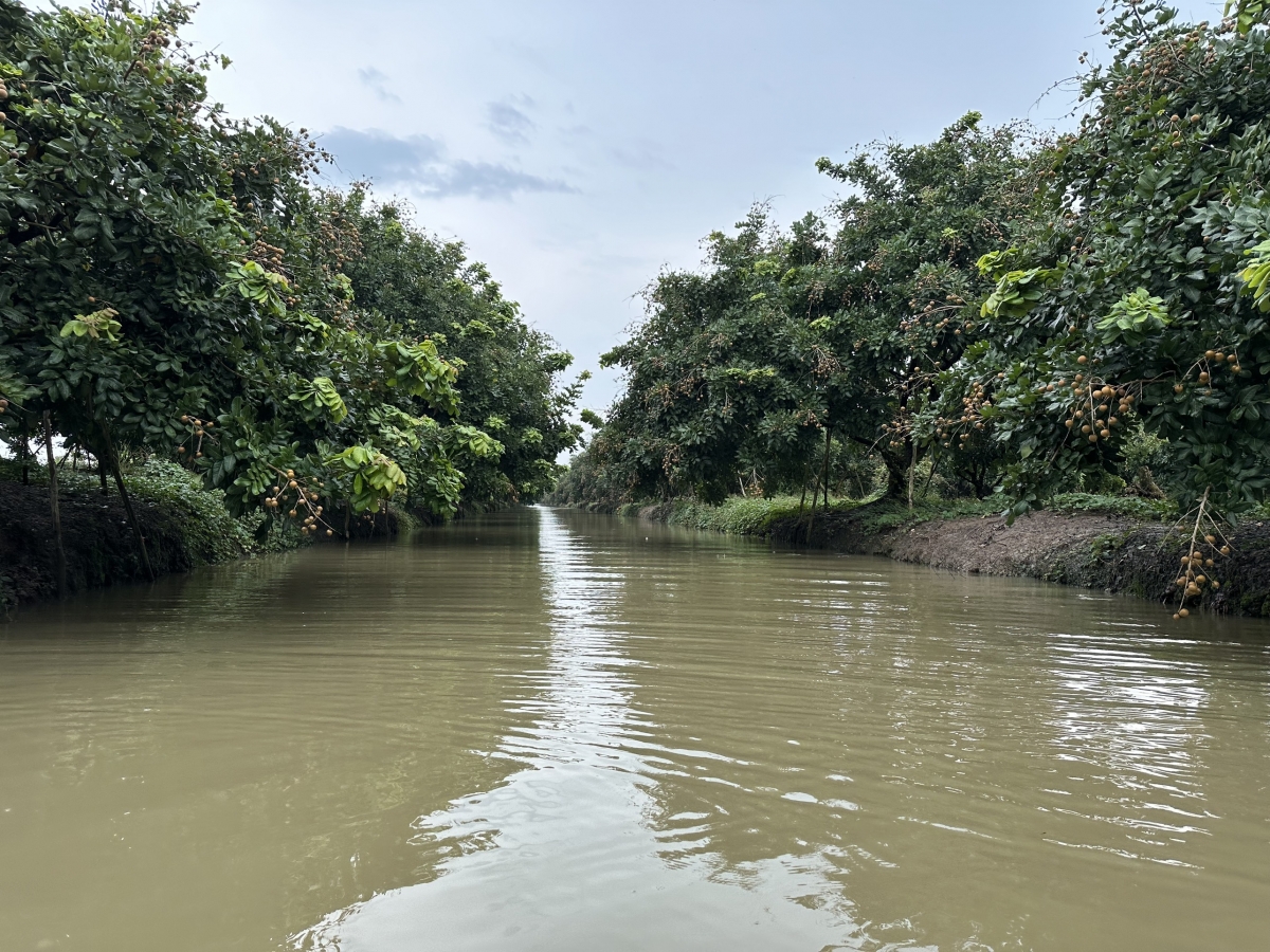 ĐBSCL mong muốn thu hút doanh nghiệp Nhật Bản vào nông nghiệp công nghệ cao, chuyển đổi số và du lịch sinh thái.