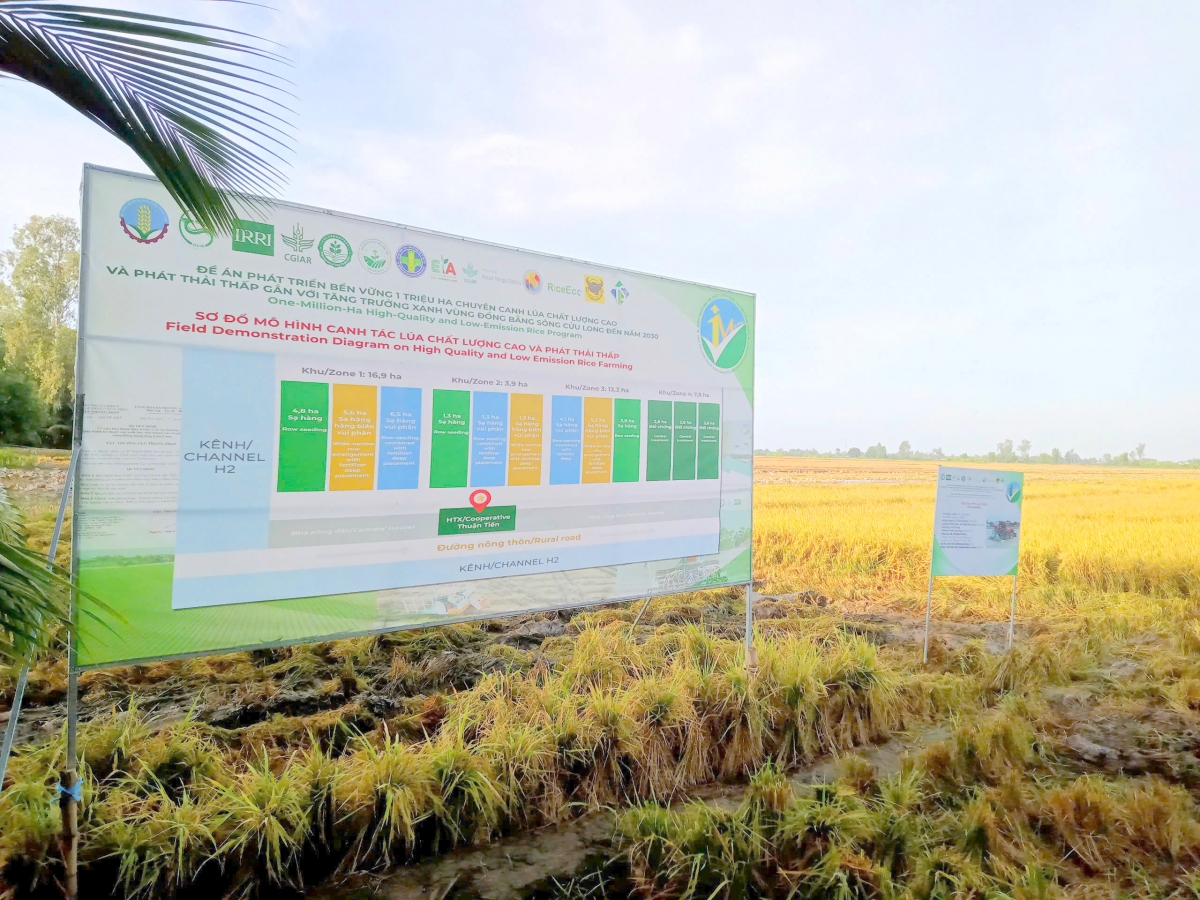 Đề án 1 triệu ha lúa gạo chất lượng cao, phát thải thấp