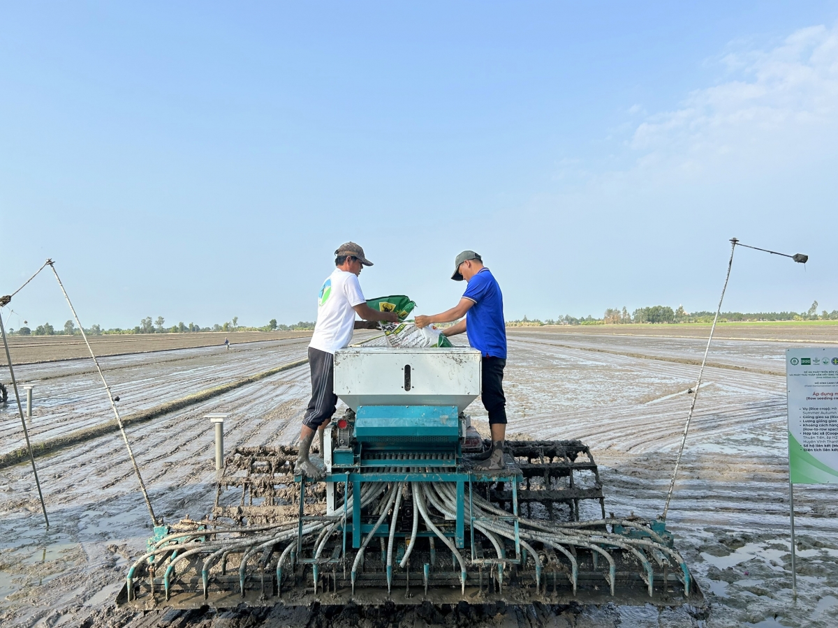 Đề án giữ vai trò nòng cốt trong sản xuất lúa gạo, bảo đảm an ninh lương thực quốc gia