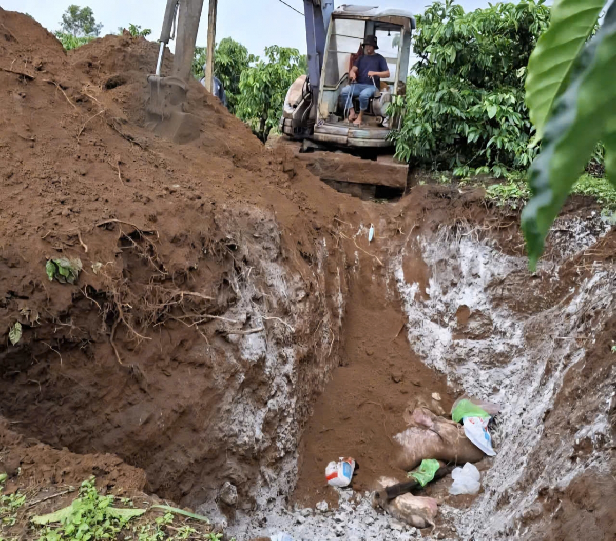 Tâp kơđu chu ki tro pơreăng châi klêa châu Phi