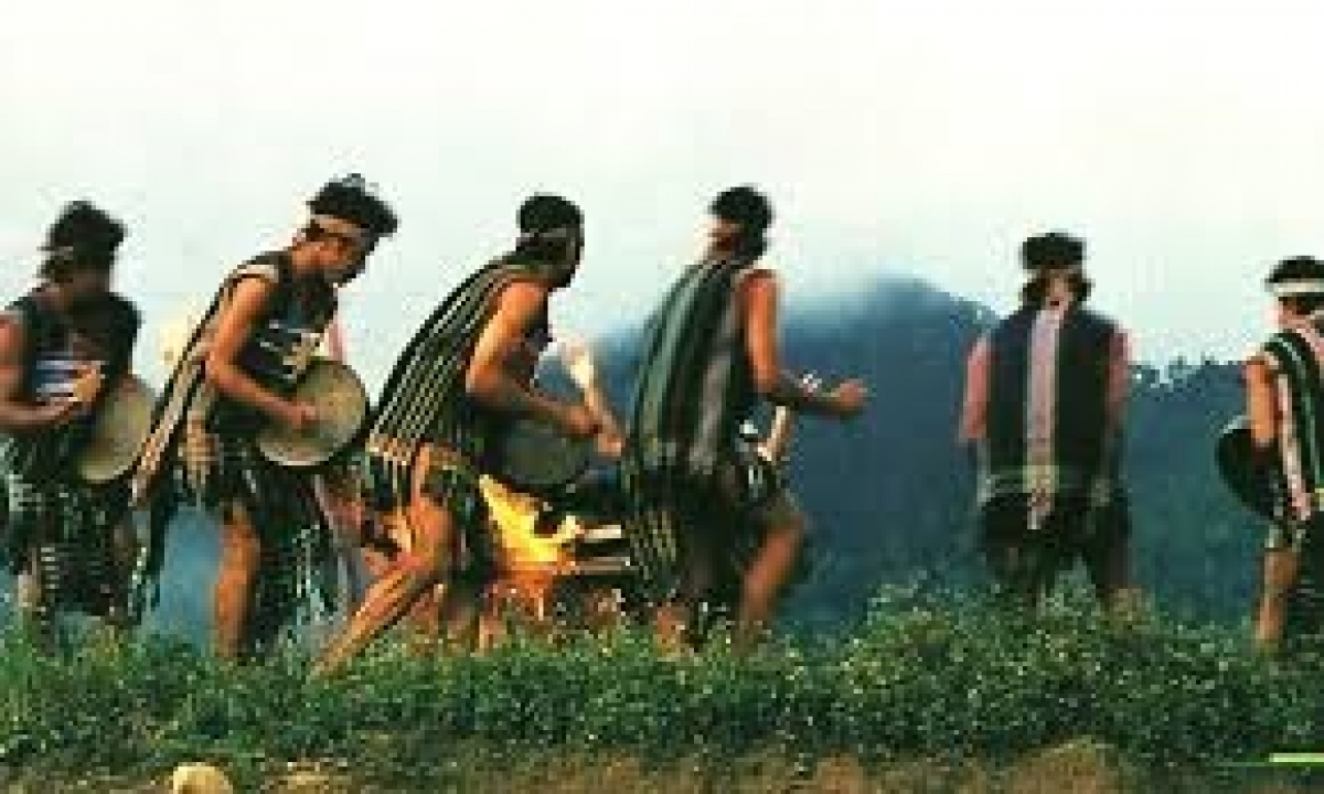 Rùp ai bơh tàm internet