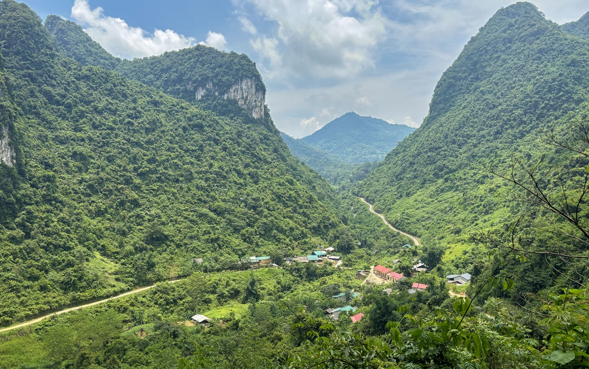 Mâu pơlê tíu ngo Lam Sơn (nôkố ối tung cheăm Hoà An, kong pơlê Cao Bằng) nah cho đông kăch măng krá tơniăn.