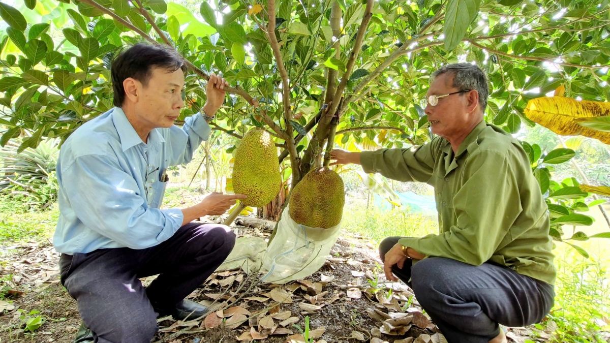 wa Lê Minh Đuông tâm mir tăm tơm play