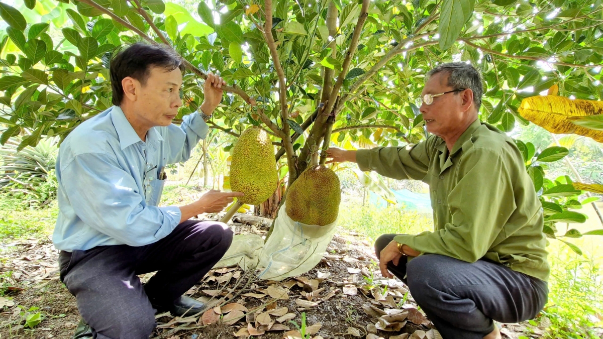 
Ƀô̆ đô̆i rơka Lê Minh Đuông tơbăt trong pơtăm mit kơ ŭnh hnam