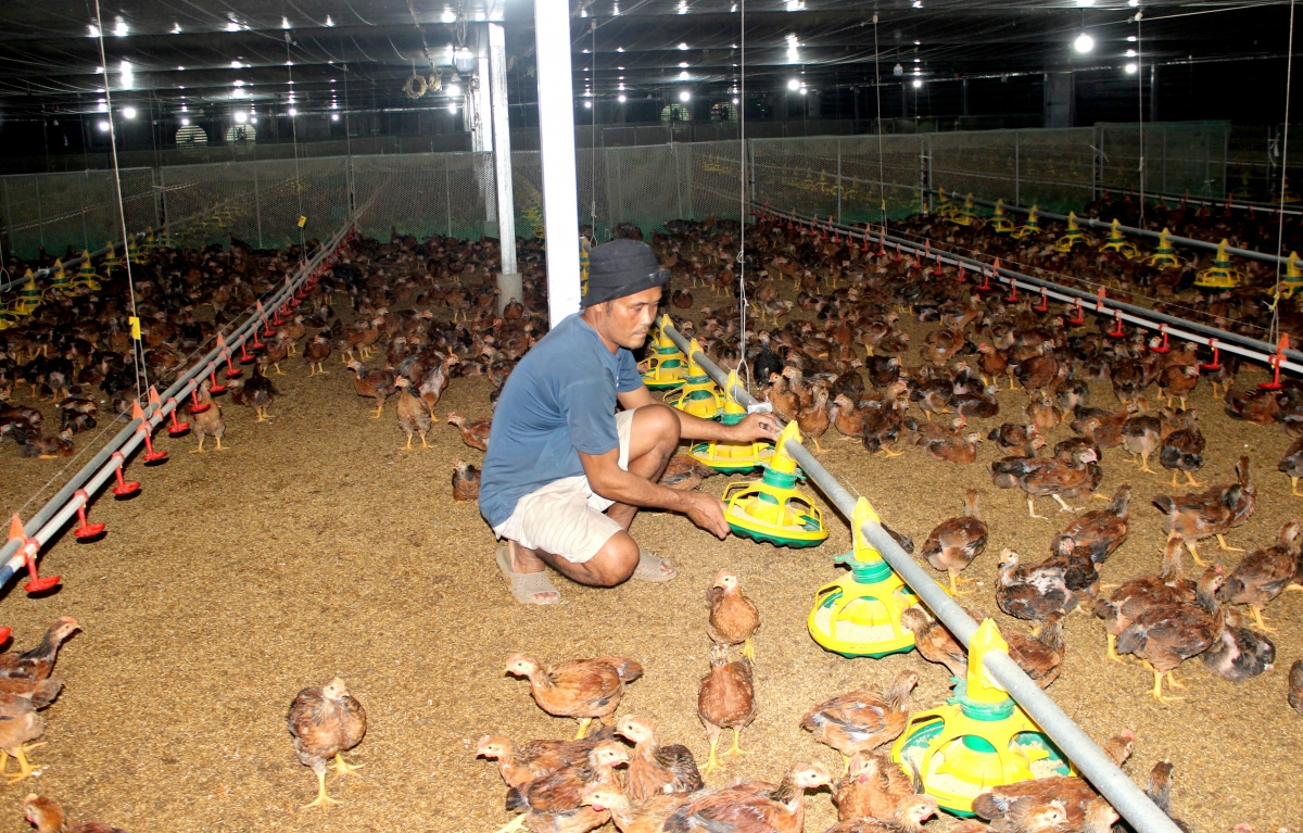 Hngêi rak liăn a Dak Lak rơtế prôk tơƀrê ƀă khu mơdró kâ ƀă kuăn pơlê