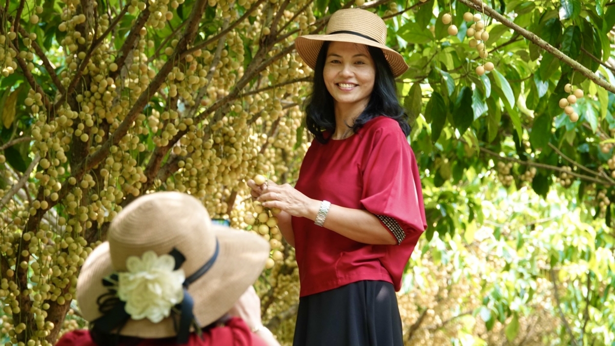 Nhiều combo khuyến mãi lớn dành cho khách trải nghiệm du lịch sinh thái