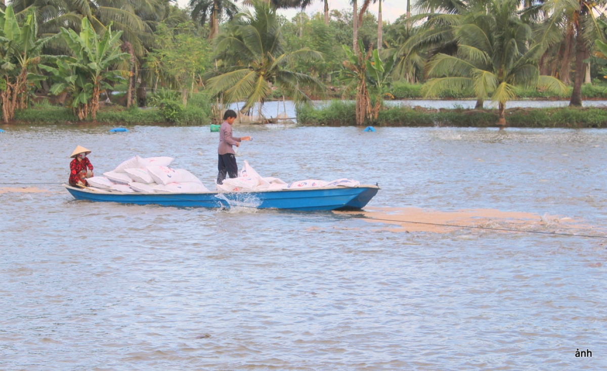 Vùng Đồng bằng sông Cửu Long được mệnh danh “vựa lúa, trái cây, thủy sản” của Việt Nam