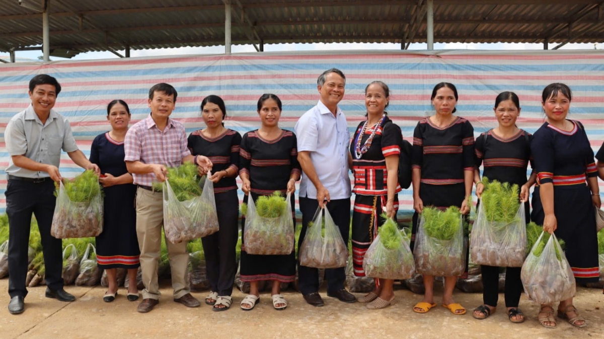 
Đơng lam bồ sàh Tu Mơ Rông, càr Quảng Ngãi pà tờm sơntìl ai làng bol in