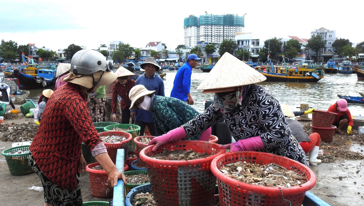 Kah pơpha djuai akan hơdang ƀơi tơdron kompan mă akan Phan Thiết, Lâm Đồng